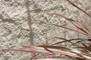 flexible stone interior wall cladding